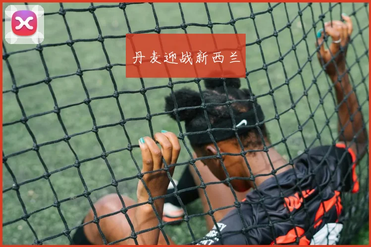 丹麦迎战新西兰