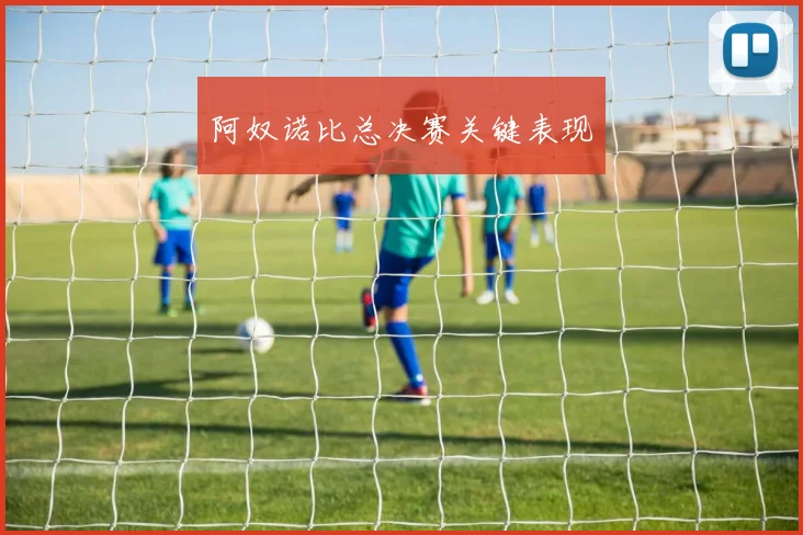阿奴诺比总决赛关键表现
