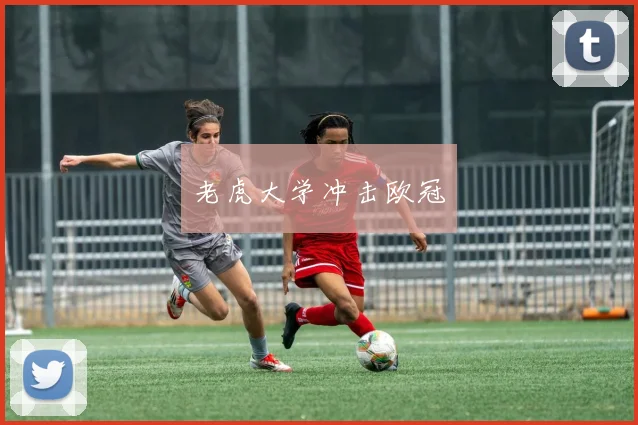 老虎大学冲击欧冠
