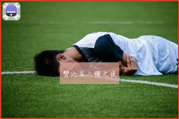 赞比亚八强之夜