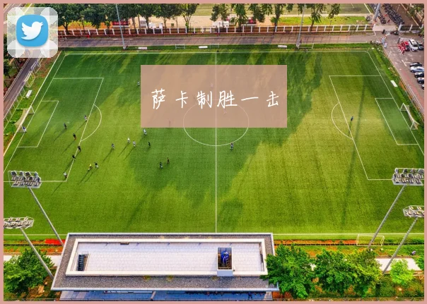 萨卡制胜一击