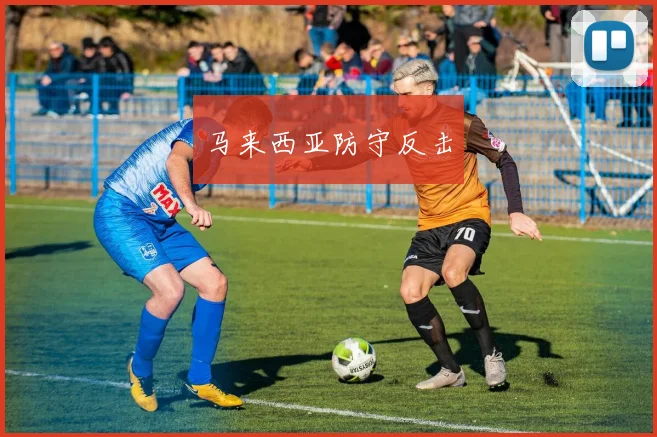 马来西亚防守反击