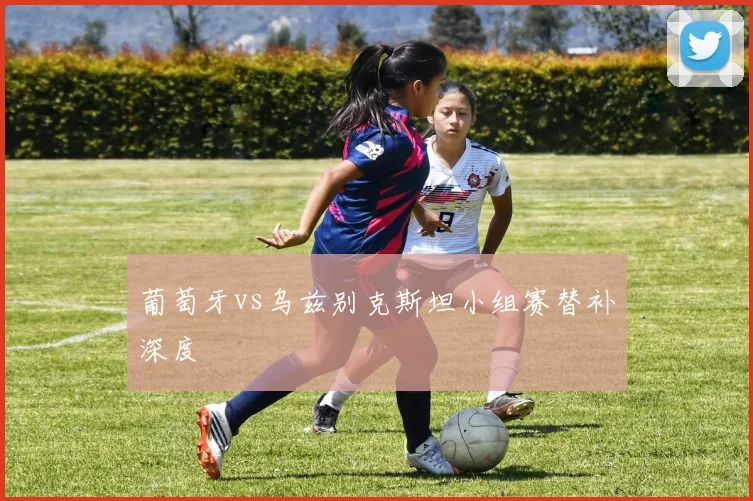 葡萄牙vs乌兹别克斯坦小组赛替补深度