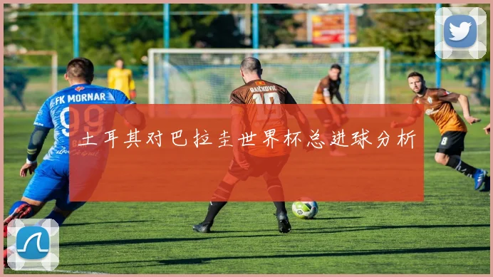 土耳其对巴拉圭世界杯总进球分析
