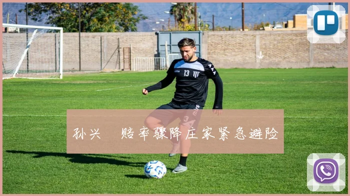 孙兴慜赔率骤降庄家紧急避险