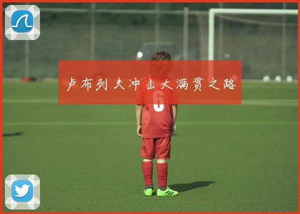 卢布列夫冲击大满贯之路