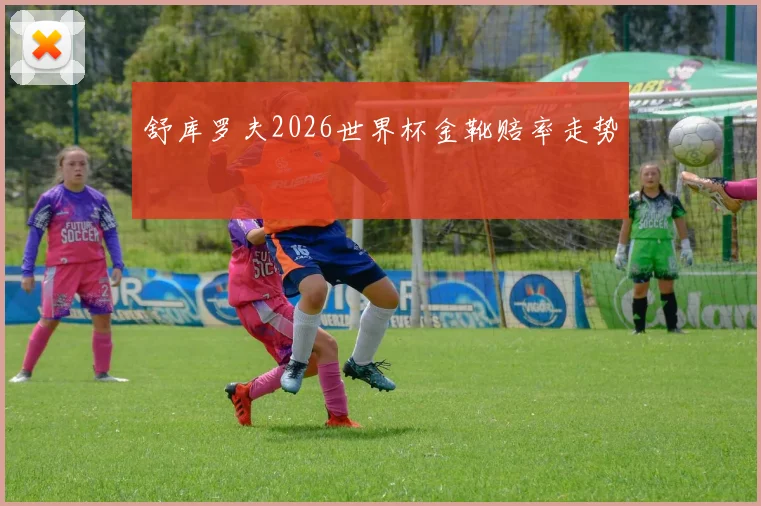 舒库罗夫2026世界杯金靴赔率走势