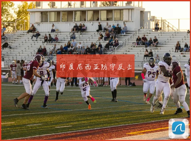 印度尼西亚防守反击