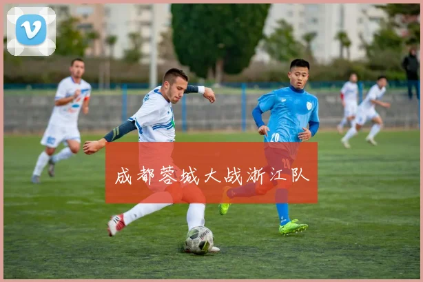 成都蓉城大战浙江队