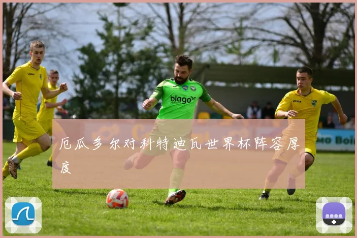厄瓜多尔对科特迪瓦世界杯阵容厚度