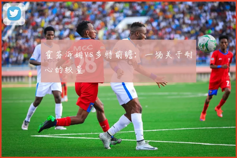 霍芬海姆vs多特前瞻:一场关于耐心的较量