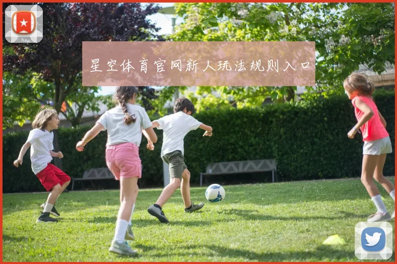 星空体育官网新人玩法规则入口